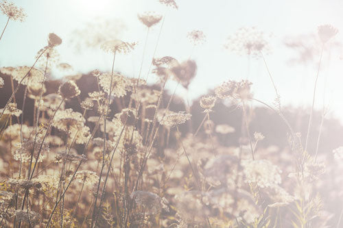 Take 2 Minutes a Day to Improve Your Life